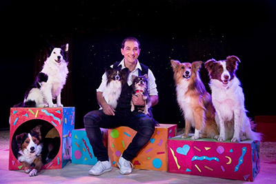 Sandro Montez & Hunde